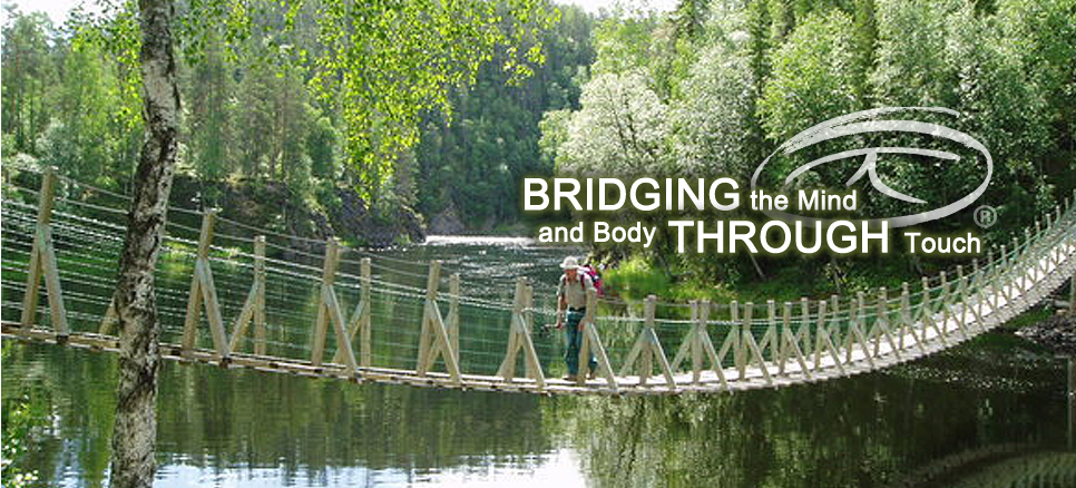 Bridging the mind and body through touch. 